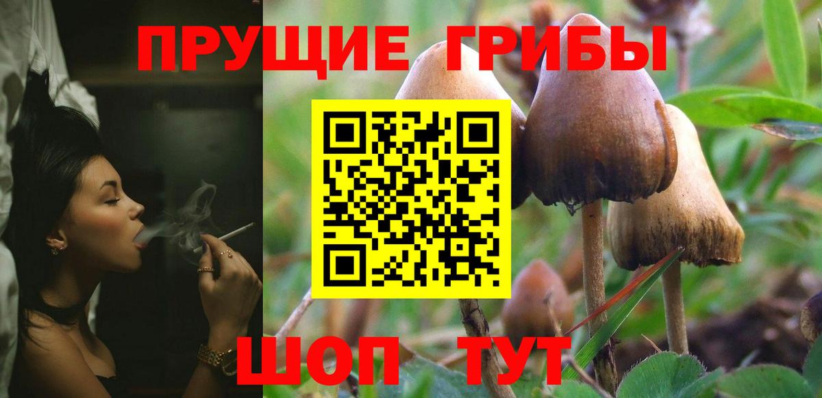 Галлюциногенные грибы Magic Shrooms Мариинск